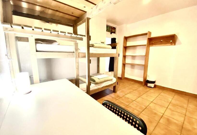 اتاق استاندارد چهار تخته, Hostel Albergue Paradiso