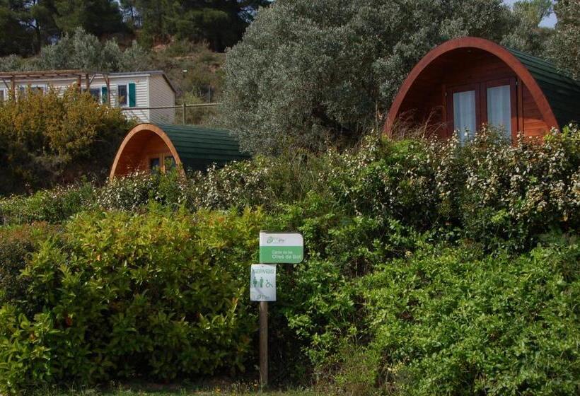 بانگلوی استاندارد, Camping Terra Alta
