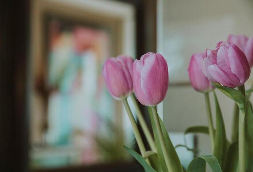 اتاق استاندارد, B&b Inés