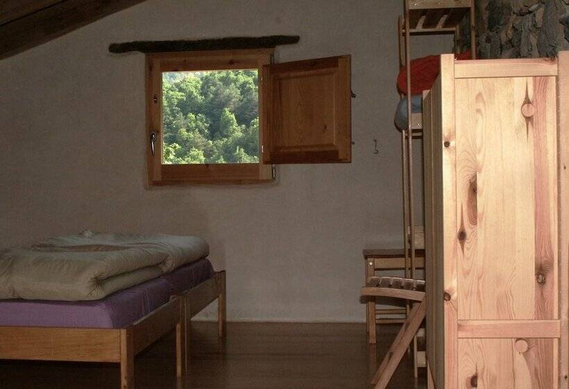 اتاق استاندارد چهارنفره با سرویس بهداشتی مشترک, Mas Rural El Negre