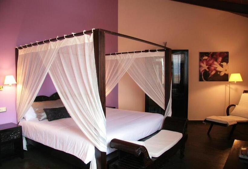 سوییت, Eco Hotel Boutique & Spa Capitulo Trece   Adults Only