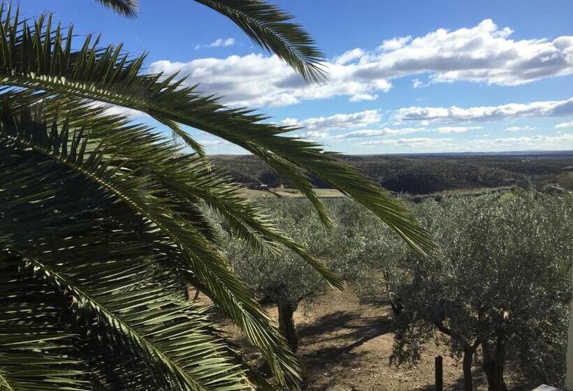استودیوی استاندارد, Hostel Cañaveral