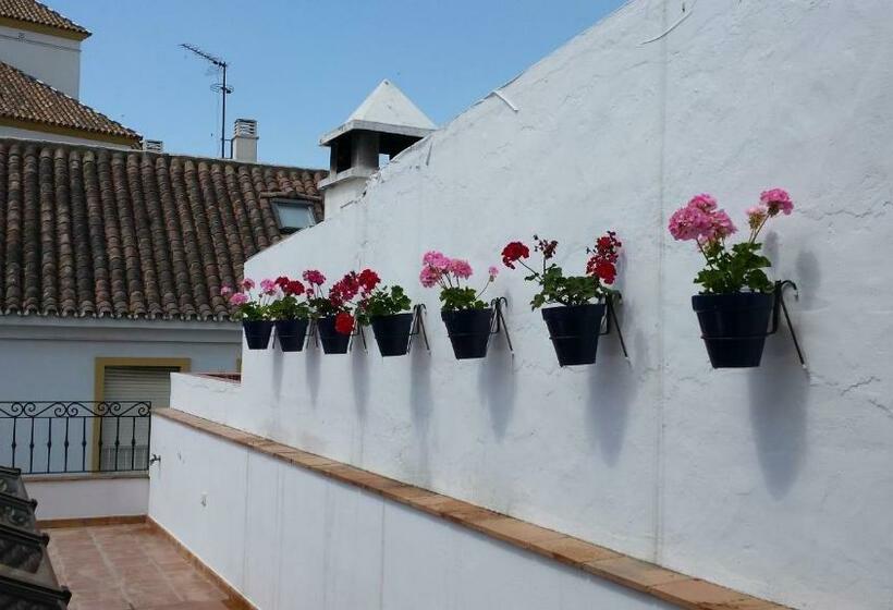 Suite with Terrace, Boutique Casa Veracruz