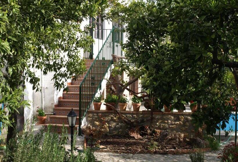 آپارتمان 1 خوابه, La Despensa Del Valle
