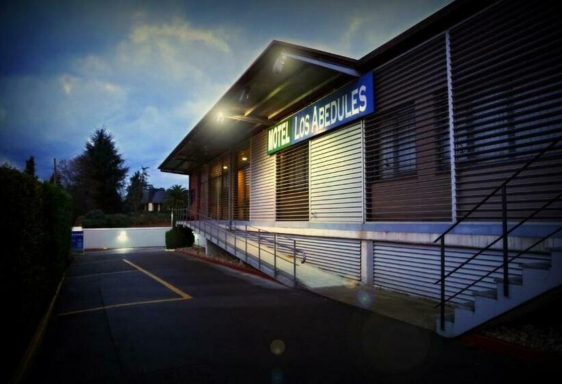 سوئیت با تخت بزرگ, Motel Los Abedules