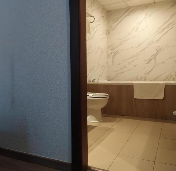 اتاق استاندارد با وان آب گرم, Motel Los Abedules