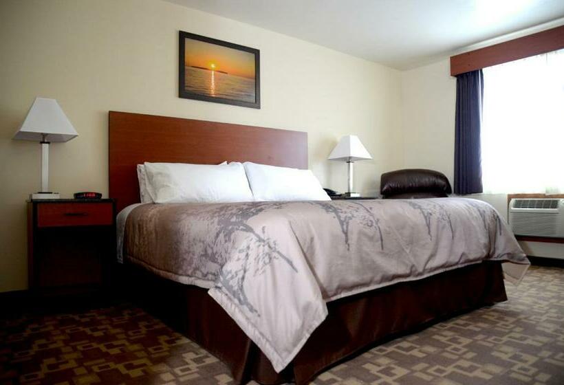 اتاق استاندارد با تخت بزرگ, North Star Hotel Pictured Rocks