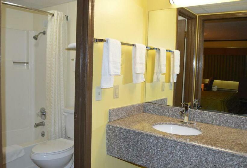 اتاق استاندارد با تخت بزرگ, Bedford Inn