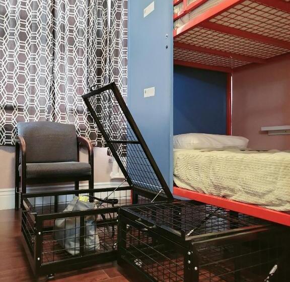 Bed in Shared Room with Shared Bathroom, Orange Village Hostel