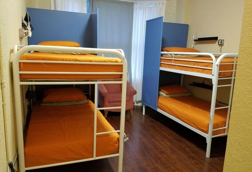Bed in Shared Room with Shared Bathroom, Orange Village Hostel