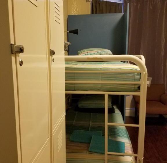 تختخواب در اتاق مشترک, Orange Village Hostel