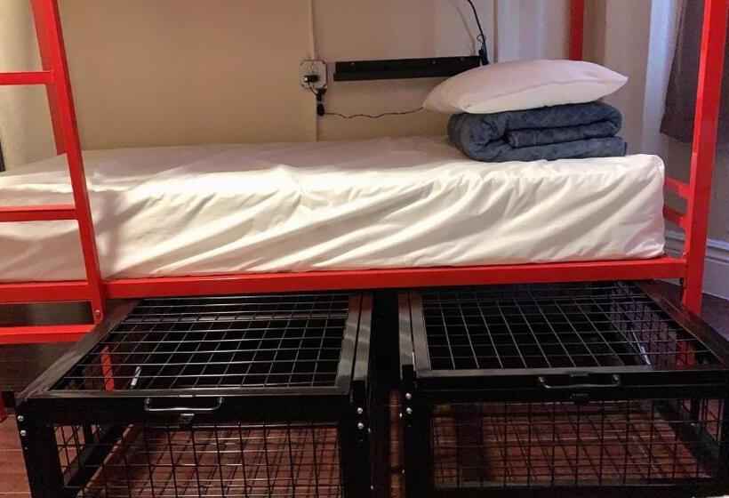 Bed in Shared Room with Shared Bathroom, Orange Village Hostel