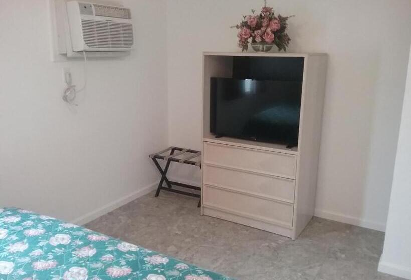 سوئیت با تخت بزرگ, Apollo Motel