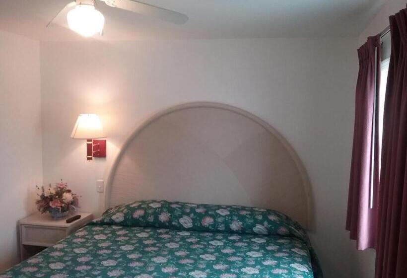 سوئیت با تخت بزرگ, Apollo Motel