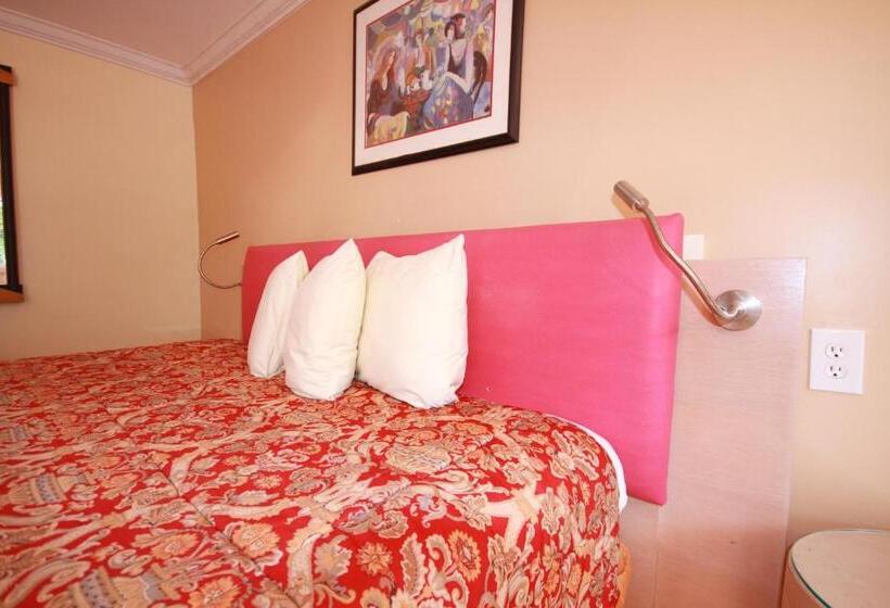 اتاق استاندارد با تخت بزرگ, Sinbad Motel