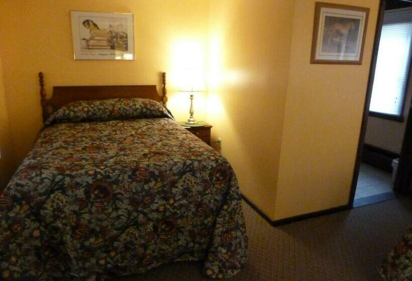 اتاق لوکس, Viking Motel
