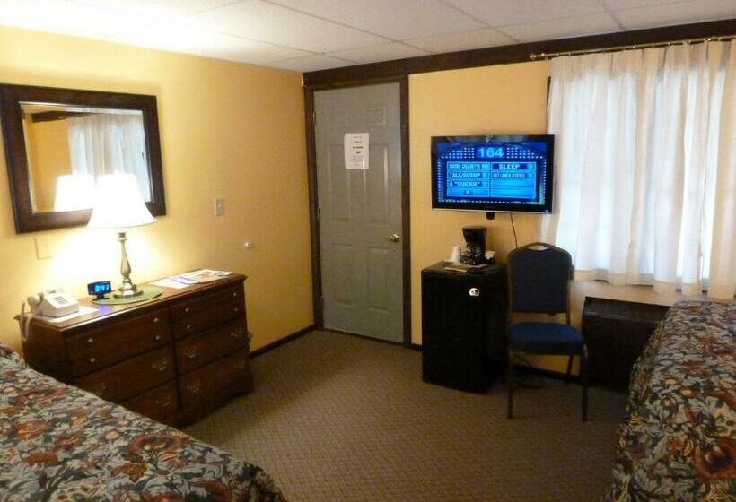 اتاق لوکس, Viking Motel