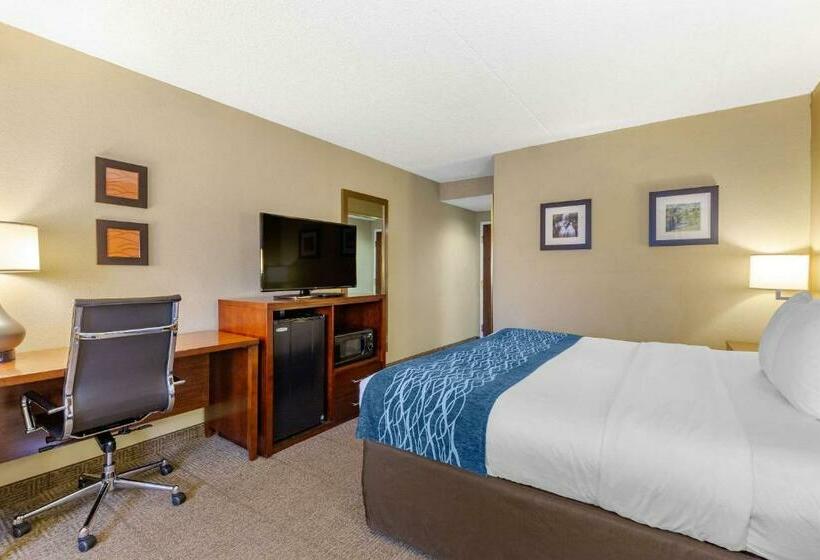 اتاق استاندارد با تخت بزرگ, Comfort Inn Martinsburg