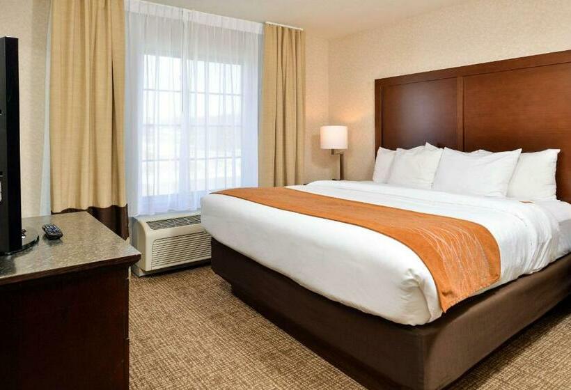 اتاق استاندارد با تخت بزرگ, Comfort Inn & Suites Deforest