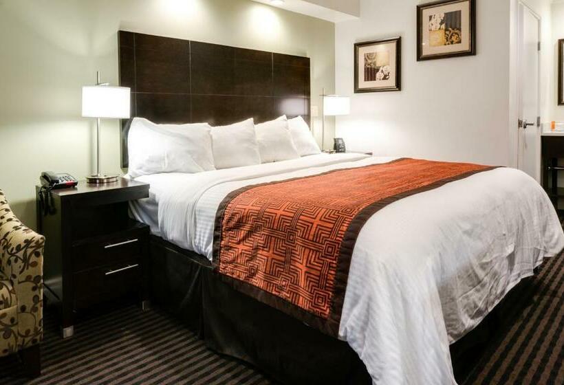 اتاق استاندارد با تخت بزرگ, Seaside Inn