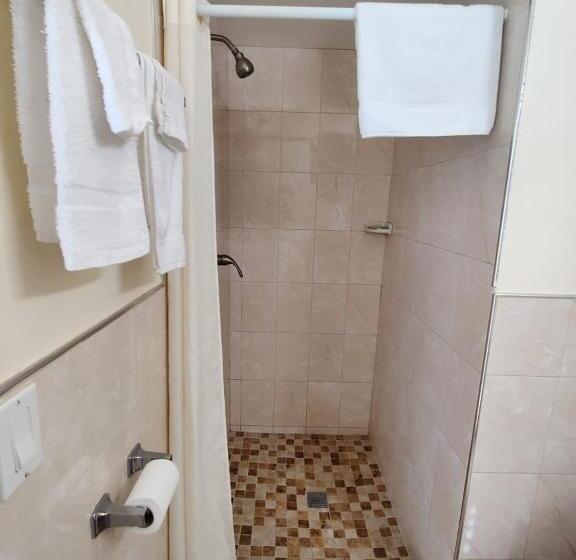 اتاق استاندارد با تخت بزرگ, Crown Inn