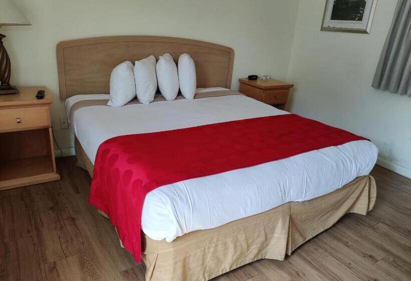 اتاق استاندارد با تخت بزرگ, Crown Inn