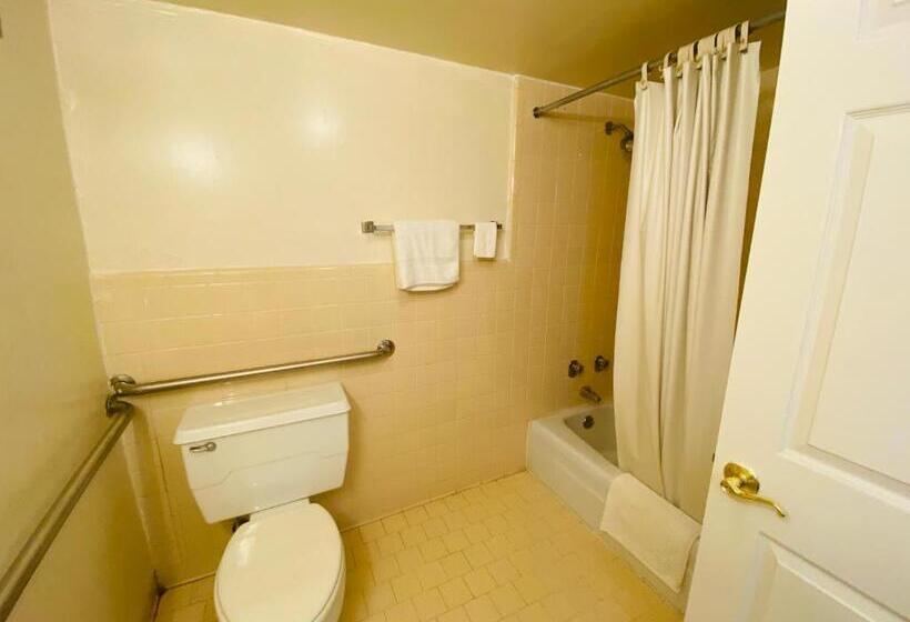 اتاق استاندارد با تخت بزرگ برای معلولان, Traveler's Place Inn & Suites
