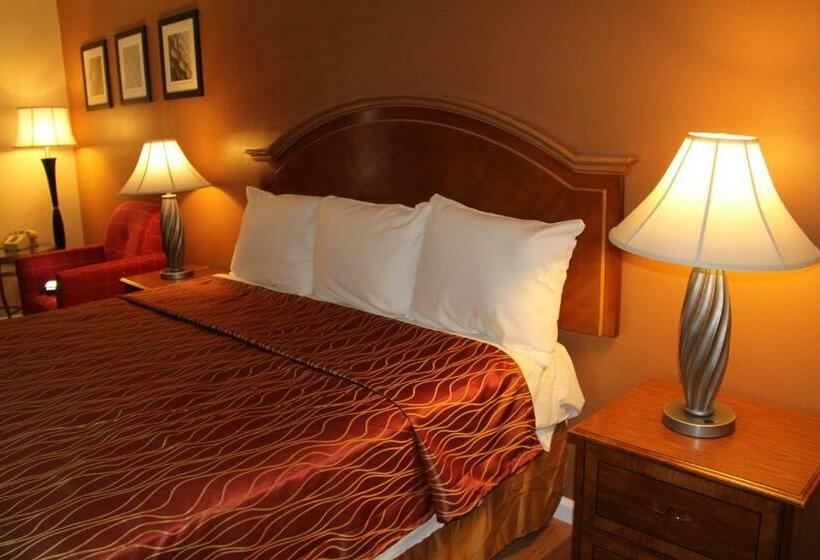 اتاق استاندارد با تخت بزرگ, Franciscan Inn Motel