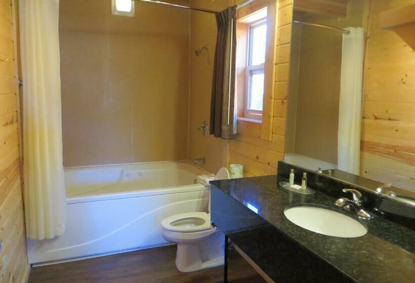 سوییت خانوادگی, Cabins Of Mackinac & Lodge