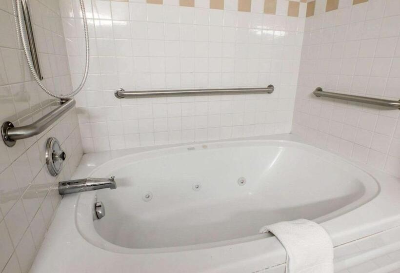 سوئیت با تخت بزرگ, Quality Suites San Diego Otay Mesa