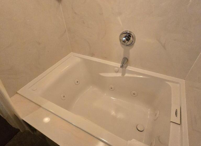 اتاق استاندارد با چشم‌انداز دریاچه, Jared S Wild Rose Ranch Resort