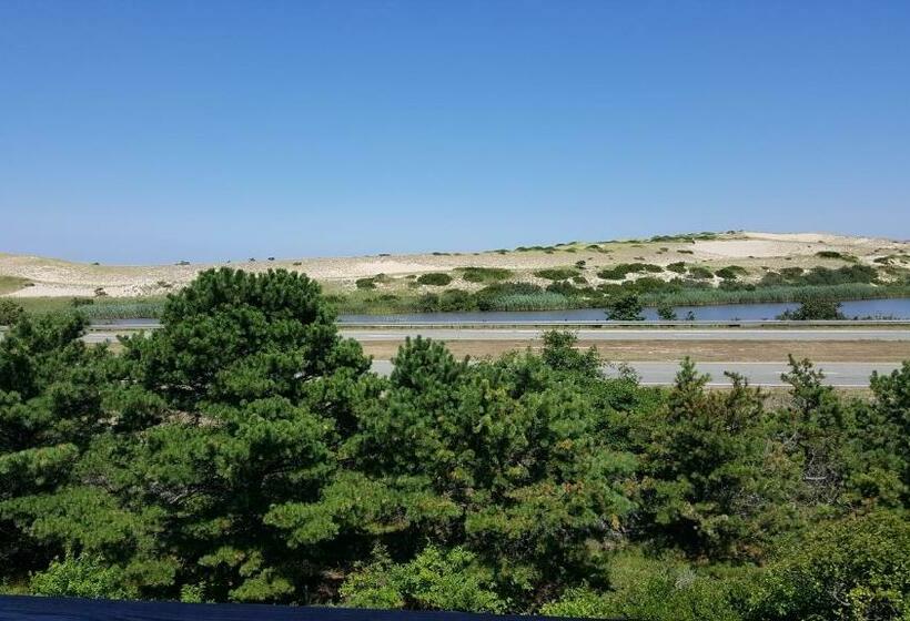 标准间, Blue Sea Motor Inn