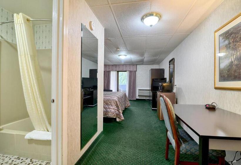 اتاق استاندارد با تخت بزرگ, Roosevelt Inn & Suites Saratoga Springs