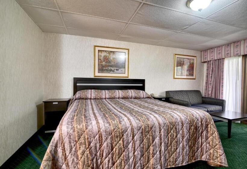 اتاق استاندارد با تخت بزرگ, Roosevelt Inn & Suites Saratoga Springs