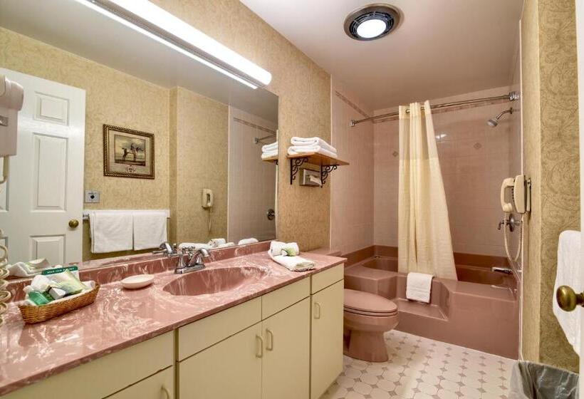 سوئیت با تخت بزرگ, Roosevelt Inn & Suites Saratoga Springs