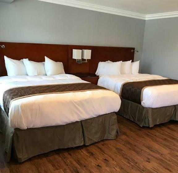 اتاق استاندارد, Rex Motel
