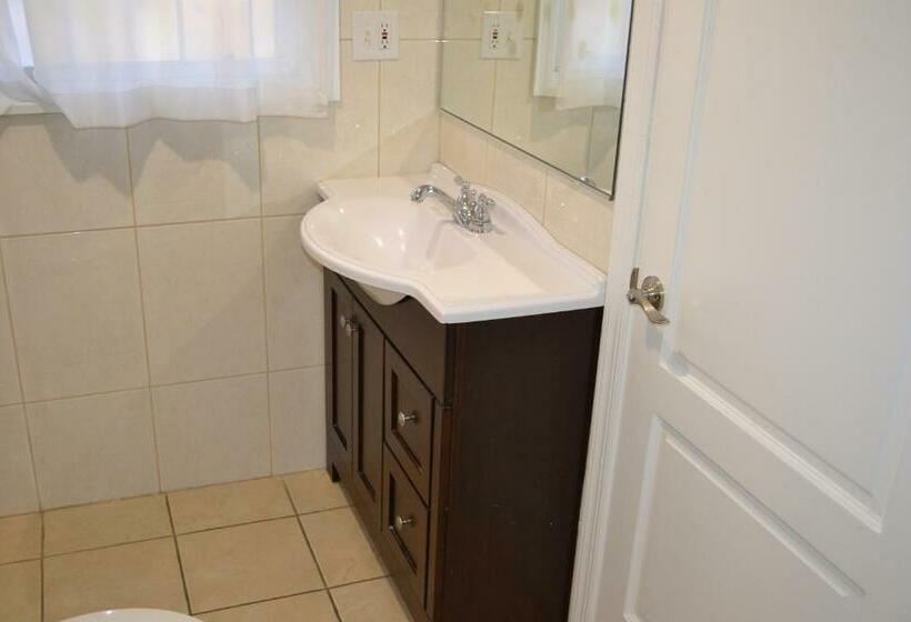 اتاق استاندارد با تخت بزرگ, Rex Motel