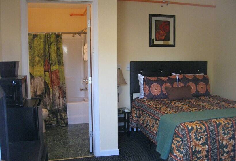 اتاق استاندارد یک نفره, Western Motel