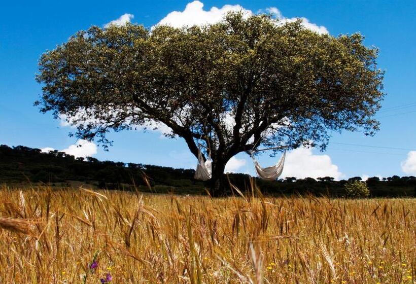 اتاق استاندارد, O Monte Do Alhinho   Turismo Rural