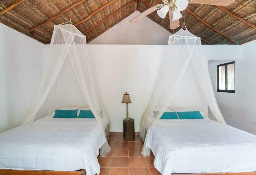 اتاق استاندارد, Ecovergel Hotel Riviera Maya