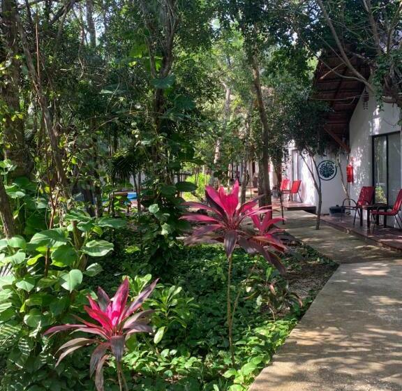 اتاق سوپریور, Ecovergel Hotel Riviera Maya