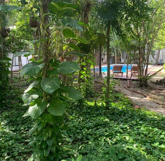 اتاق سوپریور, Ecovergel Hotel Riviera Maya