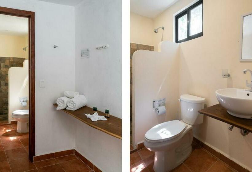 اتاق استاندارد, Ecovergel Hotel Riviera Maya
