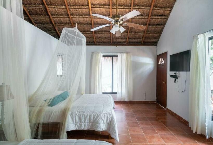 اتاق استاندارد, Ecovergel Hotel Riviera Maya