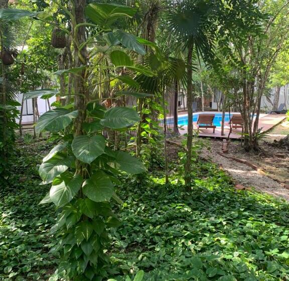 اتاق استاندارد, Ecovergel Hotel Riviera Maya