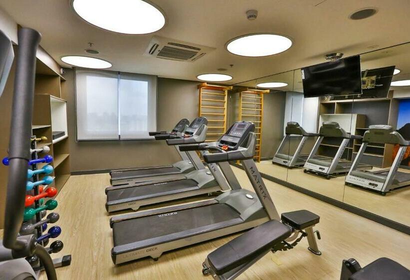 اتاق سوپریور با تخت بزرگ, Hilton Garden Inn Santo Andre