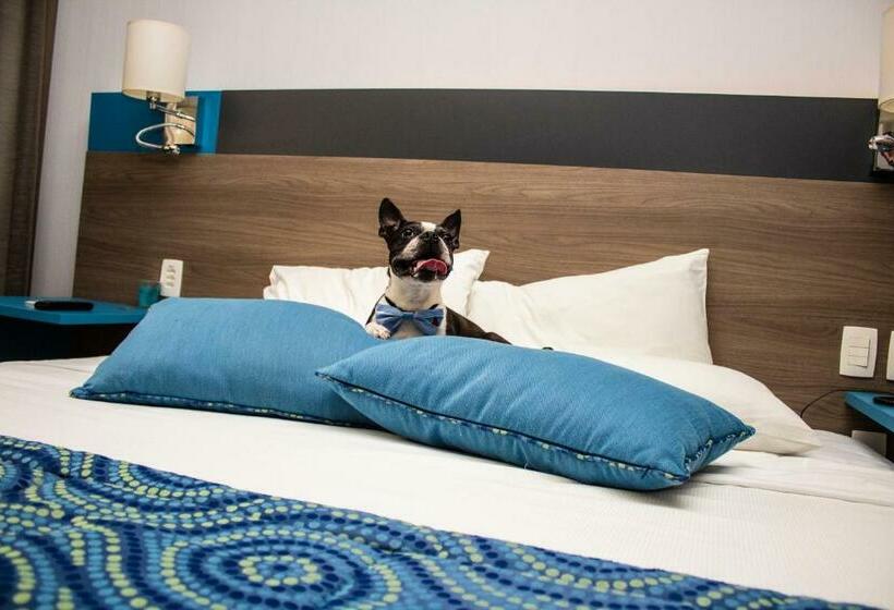 اتاق سوپریور با تخت بزرگ, Hilton Garden Inn Santo Andre