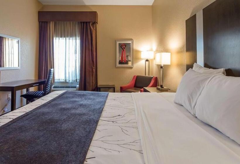 اتاق استاندارد با تخت بزرگ, Best Western Boerne Inn & Suites