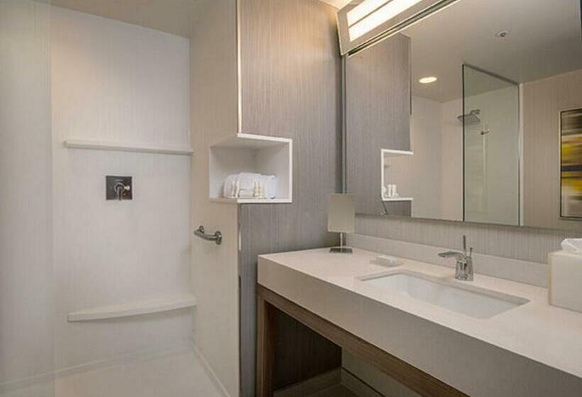 اتاق استاندارد با تخت بزرگ, Courtyard By Marriott Hershey Chocolate Avenue