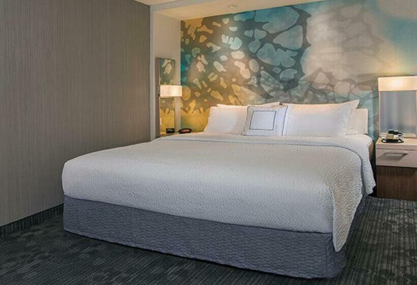 اتاق استاندارد با تخت بزرگ, Courtyard By Marriott Hershey Chocolate Avenue